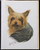 Blank Card with Envelope by Robert May - Yorkshire Terrier (Yorkie) (RGC04)