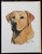 Blank Card with Envelope by Robert May - Yellow Labrador Retriever (Lab) (RGC24B)