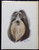 Blank Card with Envelope by Robert May - Shih Tzu (RGC26D)