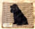 Fur Children Megabyte, Gigabyte, Dog Byte Mouse Pad - American Black Cocker Spaniel (MPMGDB05)