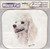 Mouse Pad Designs by Robert May - White Poodle (RMP01A)