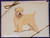 Fur Children Blank Note Cards - Wheaten Terrier (NC0405145)