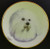 Classic Collection 4in Color Mini Porcelain Plate-Bichon Frise (316 Bichon)