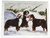 Ruth Maystead Christmas Cards - Bernese Mountain Dog (BMD4X)