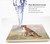 E&S Imports Ceramic Pet Coasters - Greyhound (250-94)