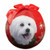 E&S Imports Shatter Proof Ball Christmas Ornament - Maltipoo(CBO-124)