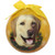 E&S Imports Shatter Proof Ball Christmas Ornament - Labrador Retriever (yellow )(CBO-20)