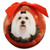 E&S Imports Shatter Proof Ball Christmas Ornament - Maltese(CBO-24)