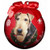 E&S Imports Shatter Proof Ball Christmas Ornament - Airedale(CBO-57)