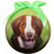 E&S Imports Shatter Proof Ball Christmas Ornament - Brittany Spaniel(CBO-58)