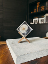 Dandelion Sola Cube. Dandelion Sola Cube.