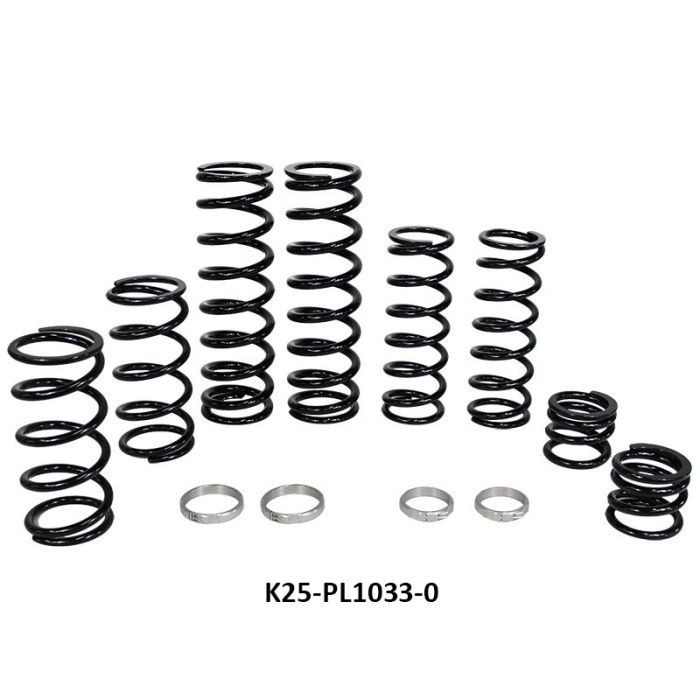 Polaris RZR Pro XP 4 Stage 1 Dual Rate Spring Kit (Fox Dynamix