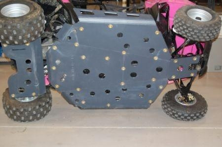 Polaris RZR 170 Full Skids w/ Integrated Side Nerfs & Rear Swing