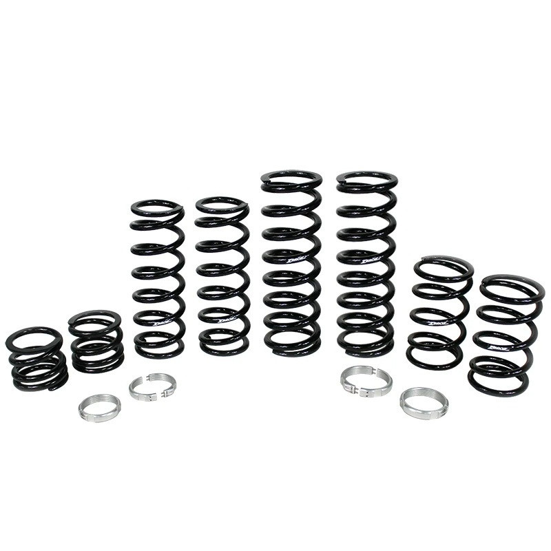 Polaris RZR XP Turbo S Dual Rate Spring Kit For Walker Evans