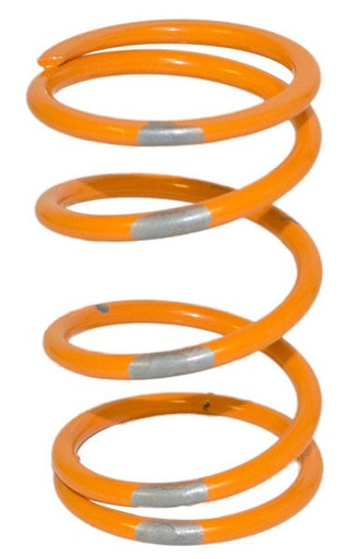 Direct Drive Spring Polaris RZR UTV Drive Spring by Starting Line Products - DRIVE SPRING RZR