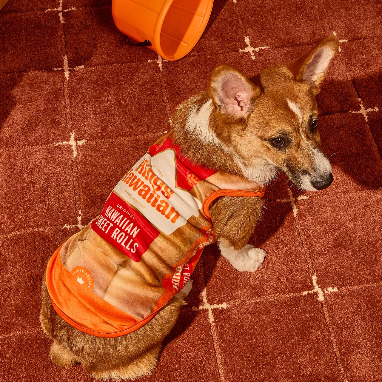 Corgi wearing the King's Hawaiian Original Hawaiian Sweet Rolls dog costume, designed to look like the sweet rolls package, sitting on a rust-colored rug beside an orange trick-or-treat bucket.