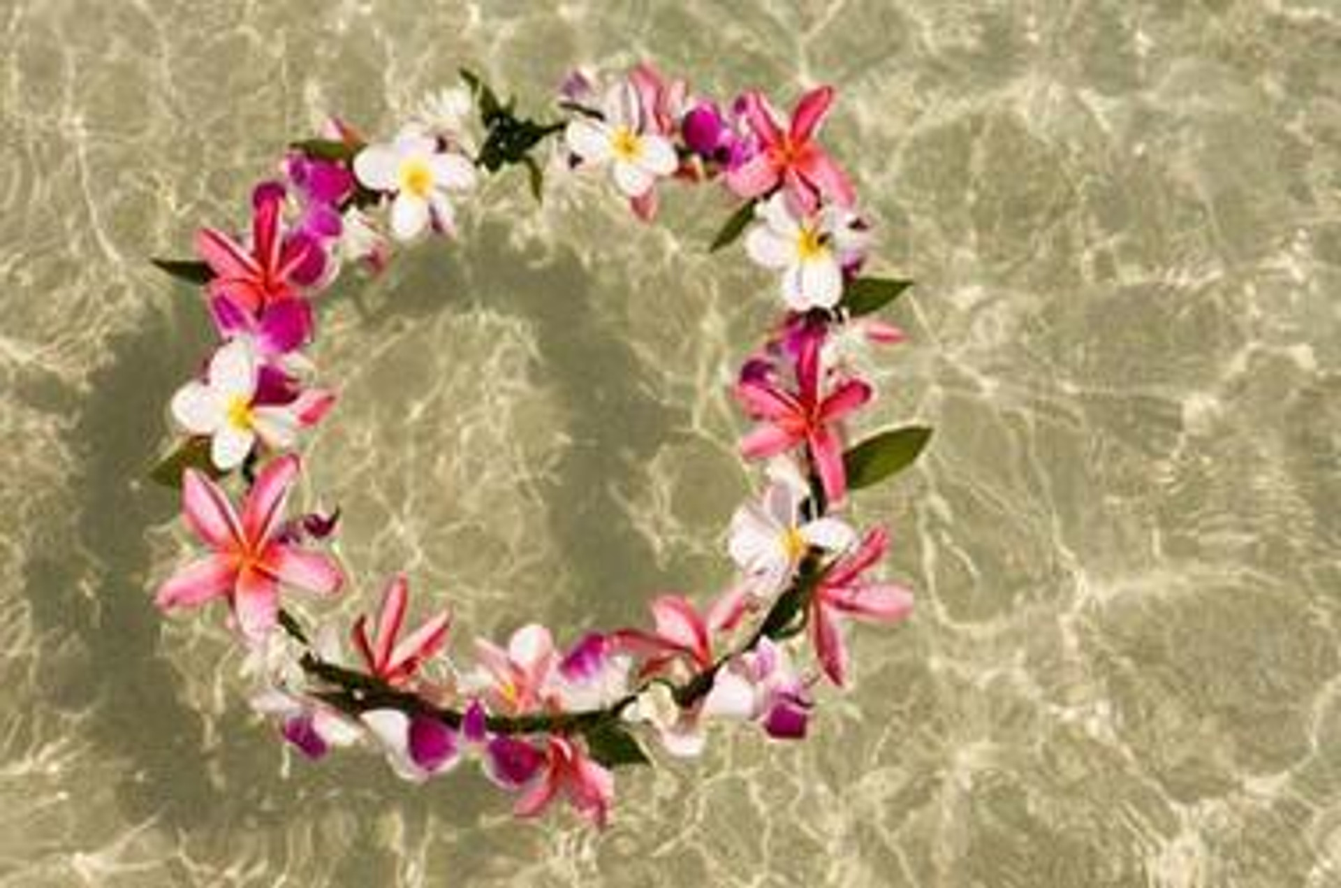 May Day Is Lei Day In Hawaii King's Hawaiian