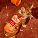 Corgi wearing the King's Hawaiian Original Hawaiian Sweet Rolls dog costume, designed to look like the sweet rolls package, sitting on a rust-colored rug beside an orange trick-or-treat bucket.