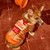 Corgi wearing the King's Hawaiian Original Hawaiian Sweet Rolls dog costume, designed to look like the sweet rolls package, sitting on a rust-colored rug beside an orange trick-or-treat bucket.