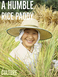 Fairness, Equality and the Humble Rice Paddy