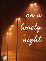 Winter Haiku: a Cold, Rainy Night