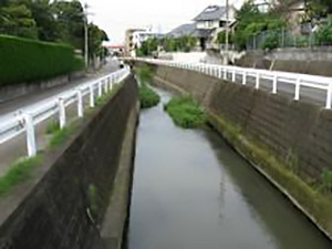 Komatsu creek near Ms. Yuri's house