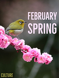 February 4th Marks the Arrival of Spring In Japan - WAWAZA