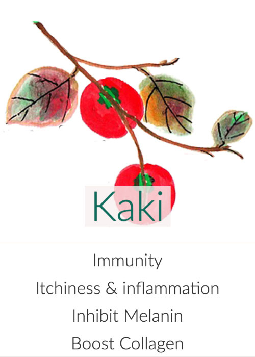 An Overview of Japanese Herbal Teas for Health and Beauty