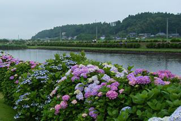 banks of Oyodu River running through Miyazaki