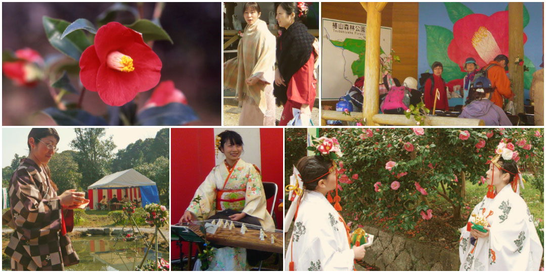 Festival of Wild Camellias in Miyazaki WAWAZA