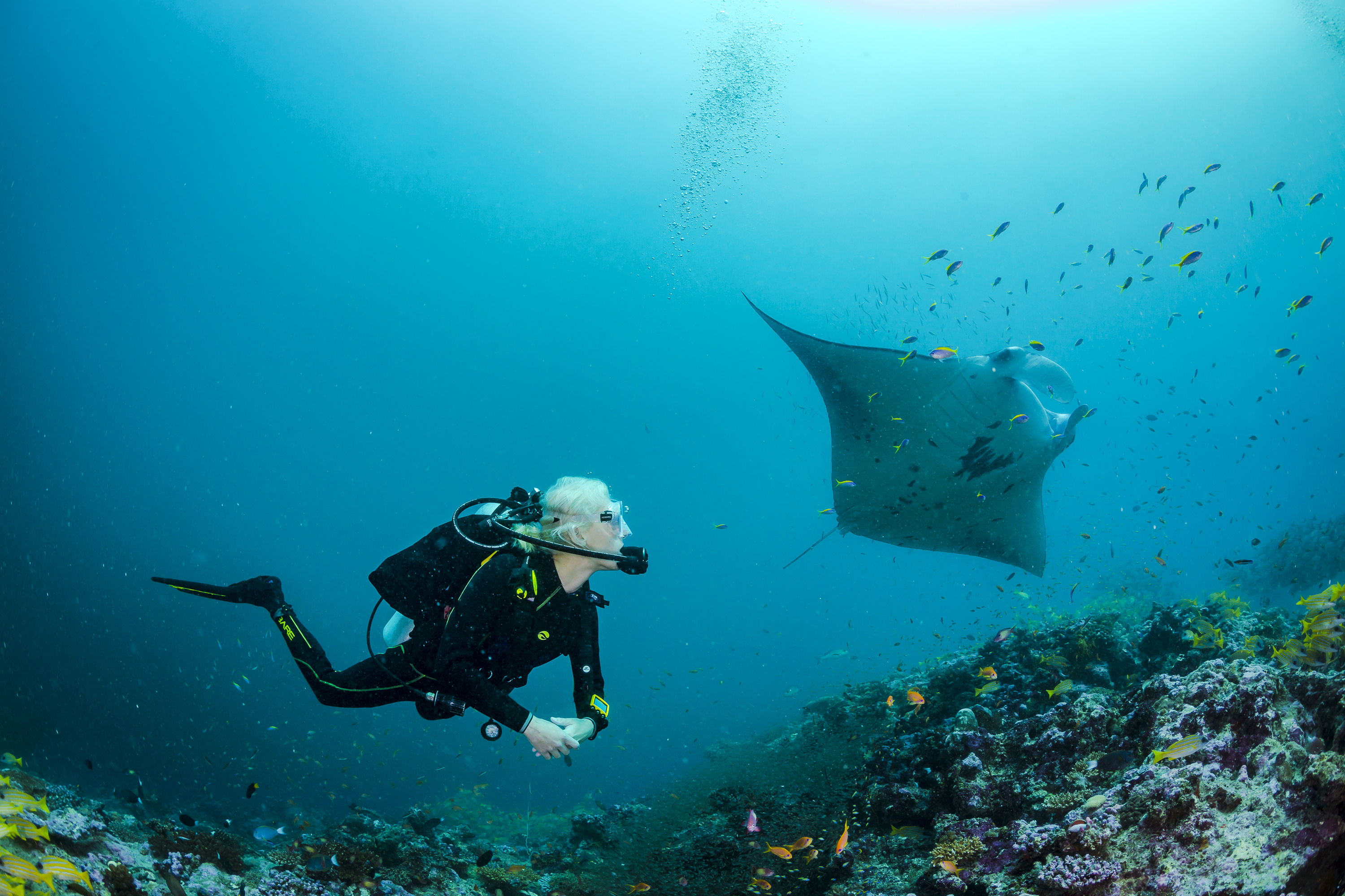 Scuba Choice: Your Dive, Your Gear, Your Choice.