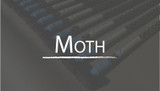 Moth