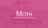 Moth