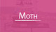 Moth