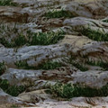 A Change of Scenery Rocky Landscape Summer Flannel