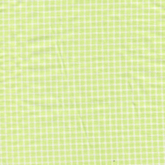 Simply Baby Lime Gingham