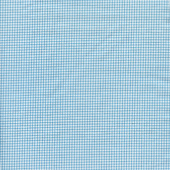 Teddy Bear Turquoise Blue Baby Gingham by Elizabeth's Studio, SKU# 206-1