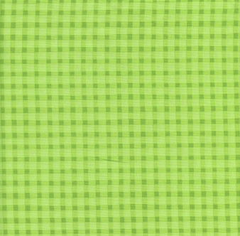 Best Friends Lime Plaid