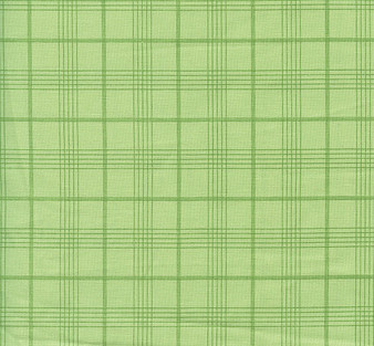 Peter Rabbit and Friends Fern Green Plaid by Riley Blake, SKU# C15865-Fern