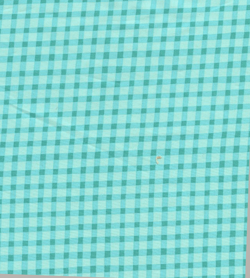 Best Friends Aqua Gingham