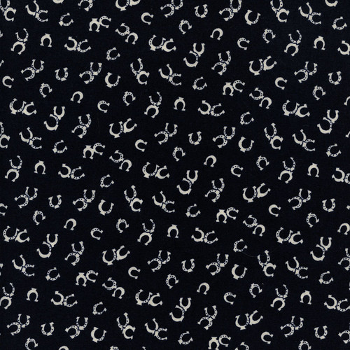Horseshoes on Navy