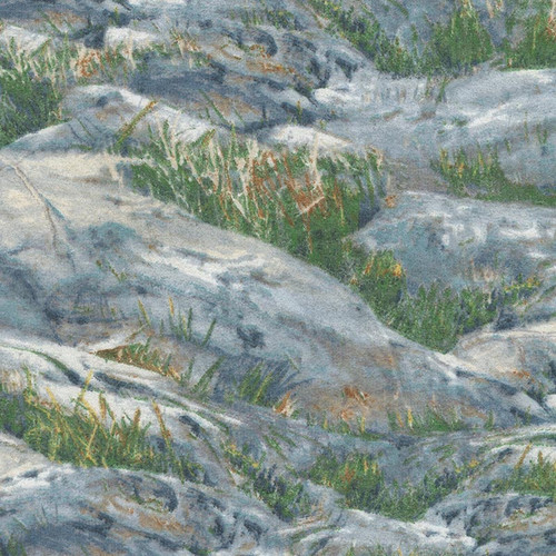 A Change of Scenery Rocky Landscape Winter Flannel