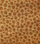 Hoppy Days Geometric Flowers on Tan