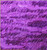 The Very Hungry Caterpillar Purple Scribbles - 12 1/2" Block