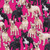 That's Bulldog! on Hot Pink - 8 1/2" Sq