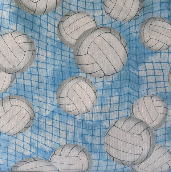 Blue Sky Volleyballs and Nets
