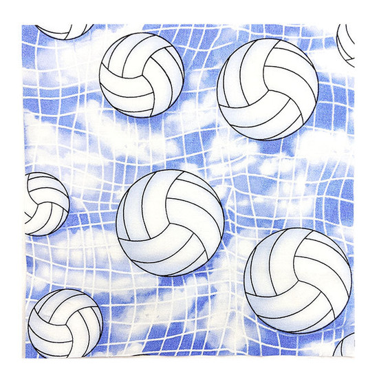 Volleyballs in the Sky 8 1/2" sq