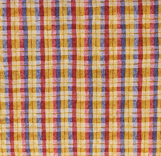 The New Years Quilt Collection Plaid