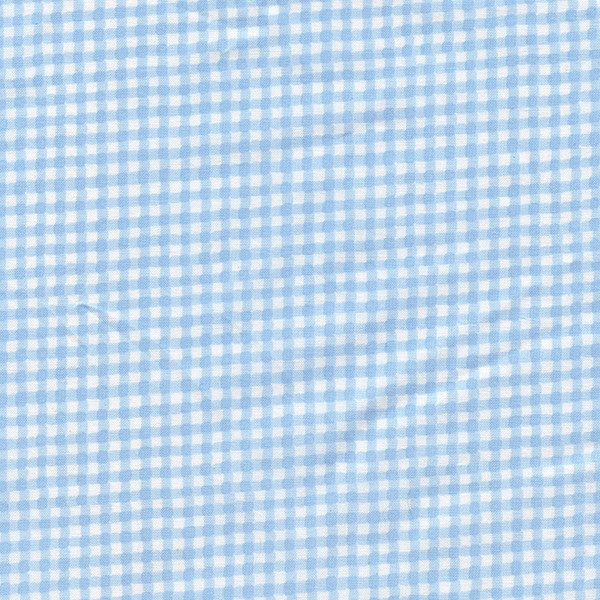 Blue & White Gingham Check