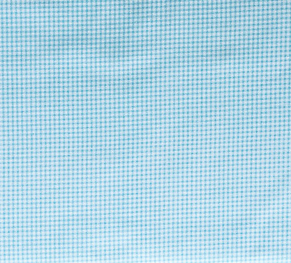 Teddy Bear Turquoise Blue Baby Gingham